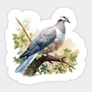 Collared Dove Sticker